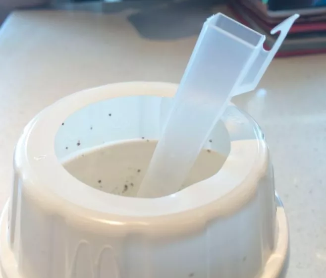 70%的人都不知道为什么麦旋风的勺子是方的