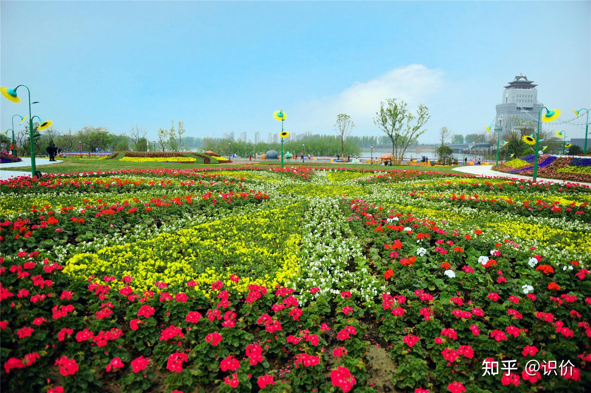 9. 马可波罗花世界