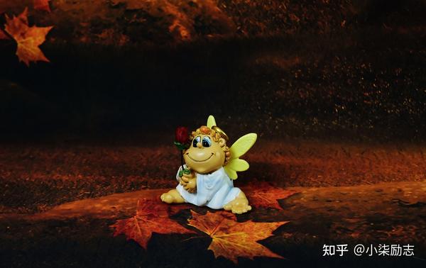 心累了发朋友圈的句子(适合发朋友圈被秒赞的文案，干净治愈，触动了每个人的心坎)