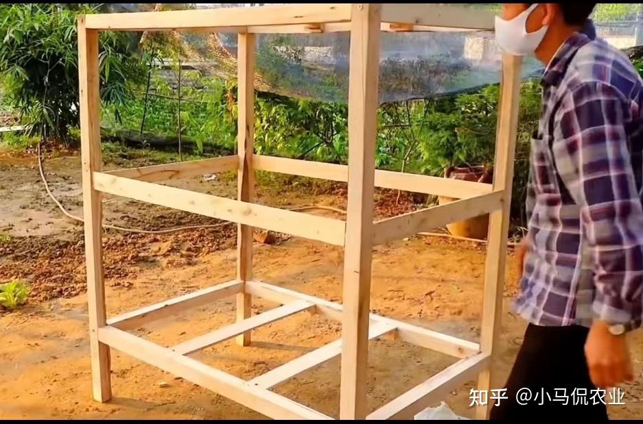 小哥花50元造鸡菜共生鸡笼,铁丝网木条变运动跑道,蛋肉菜不发愁 - 知乎