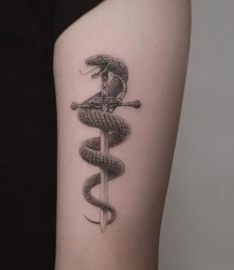蛇缠剑纹身图图片