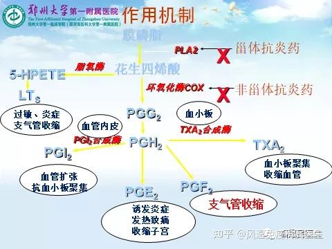 非甾体抗炎药作为首选的抗风湿药物,止痛作用哪家强 