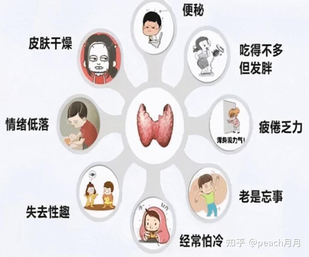 体检中发现患有桥本氏甲状腺炎该怎么办