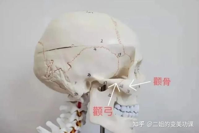 小白必看!|颧骨颧弓手术风险后遗症到底有多少?所有解答都在这里了 - 知乎
