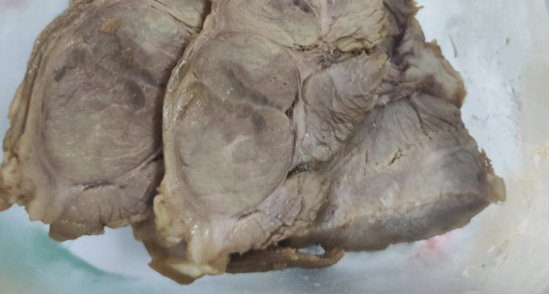 哪里买牛腱子 v2-2353b8af3cb7b7258294ab420a762d58_1440w.jpg?source=172ae18b