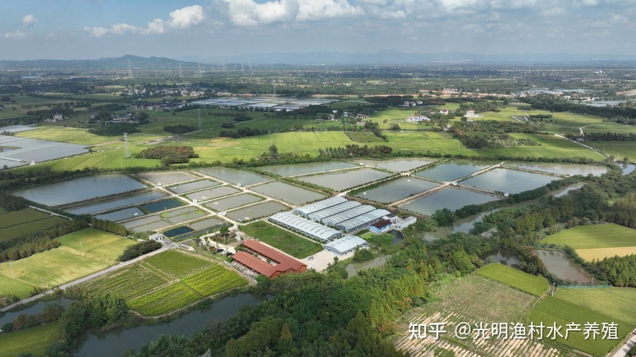 浙江省罗氏沼虾养殖产业发展研究 - 知乎