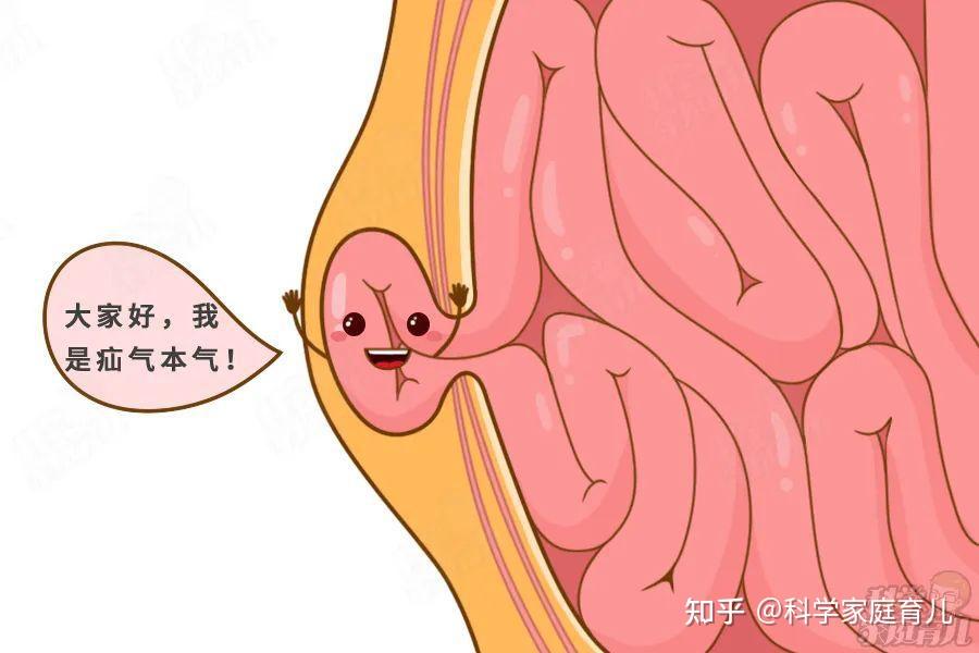 医学解释疝气:人体某脏器或组织离开正常解剖位置,通过先天或后天形成