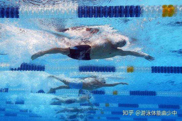 自由泳爱好者的常见瓶颈突破它只要一招手臂前伸