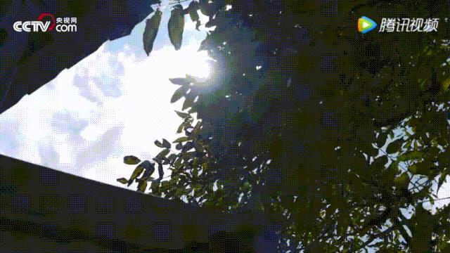 v2-236b9f06ca61bd2650b0b40f61e941cf_r.jpg