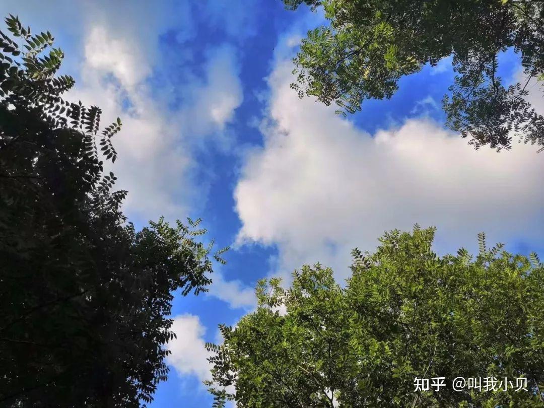 为什么说旧空调,正在偷走父母的睡眠和健康?我为什么选择格力云舒氧Pro?