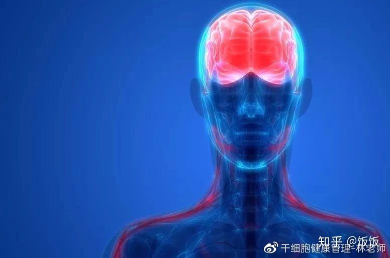 委屈的身体 :情绪如何伤害我们的器官 - 知乎