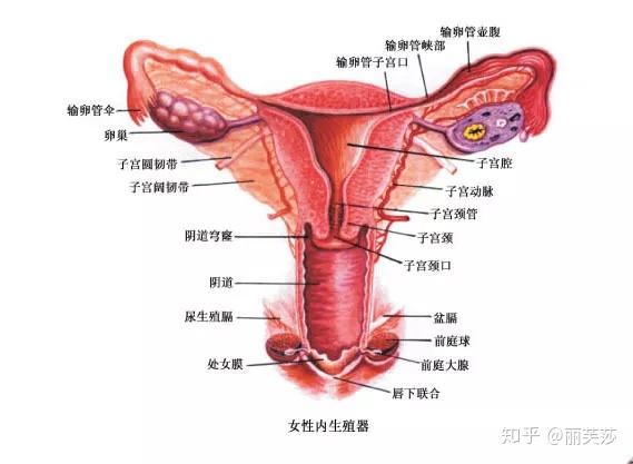 私密硬核干货 收藏版 知乎