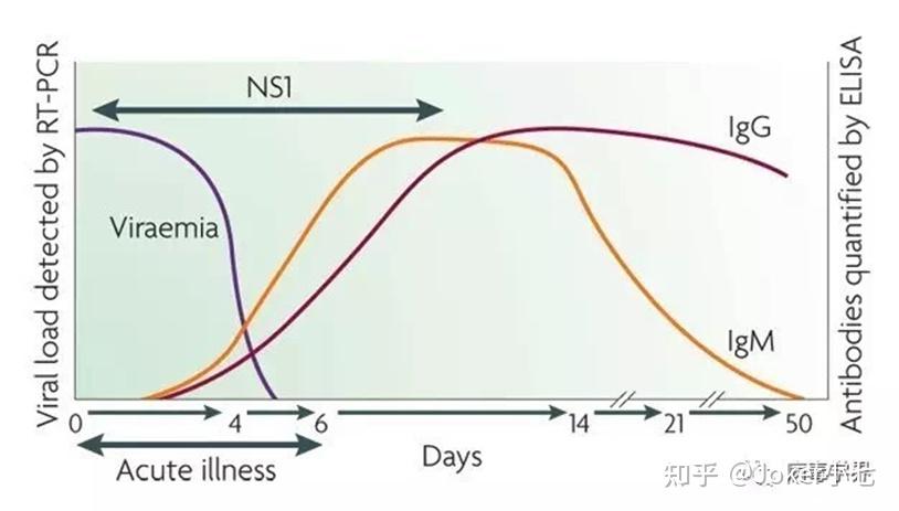 igg抗體和igm抗體和疾病的關係