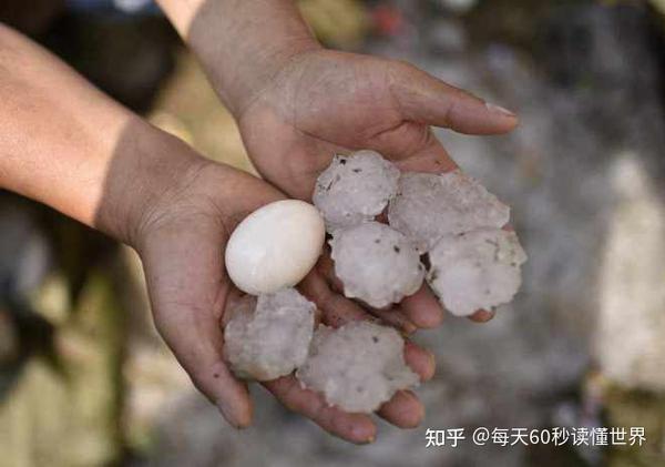 7月2日，农历五月十五，星期日！在这里，每天60秒读懂世界！-久趣源码交流论坛