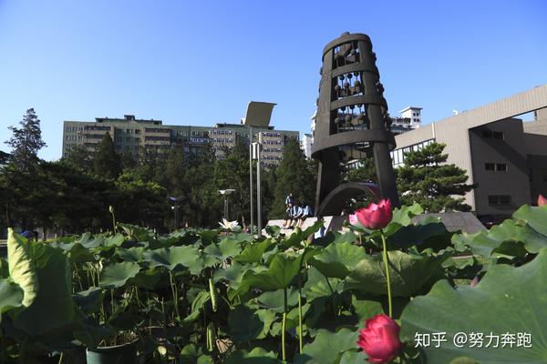 2021年师范类各大学分数线_师范类大学分数线排名全国_全国师范类大学分数线