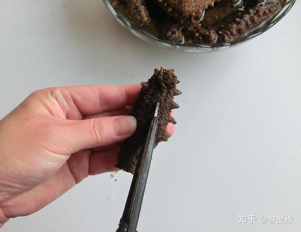 家庭如何泡发淡干海参不能说的3个秘密