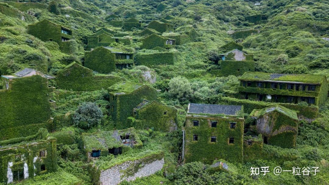 中国被时间遗忘的村庄：植物“吞噬”的嵊山荒村？ - 知乎
