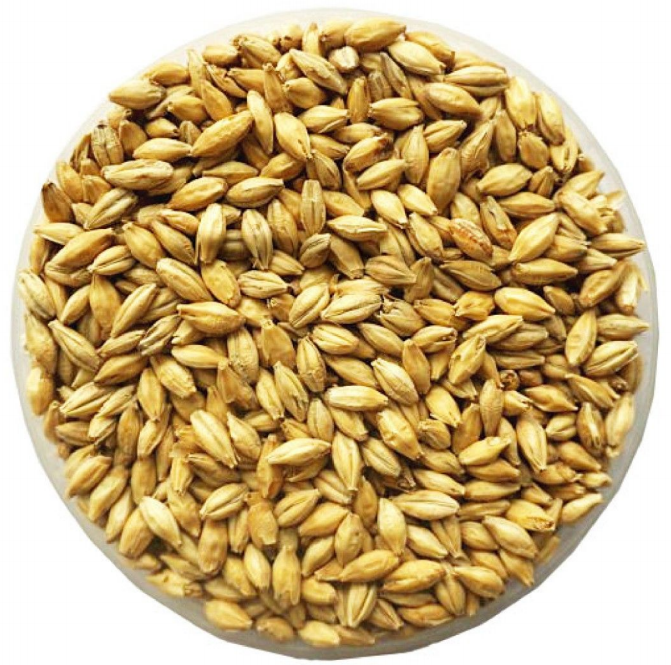 精酿啤酒原料之麦芽的检查和鉴别 - 知乎