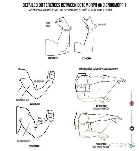 画学反应画人体被透视难住看看这位画师是怎么做的manequim