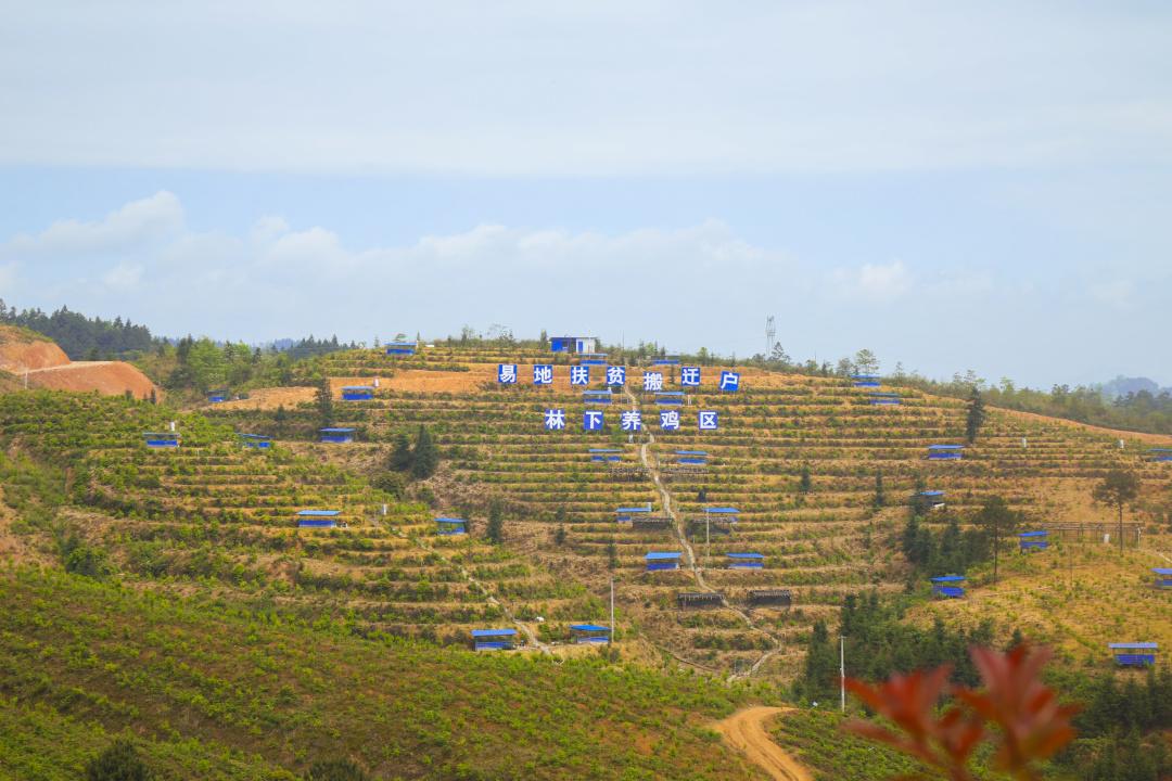我为群众办实事巩固脱贫成果续力乡村振兴