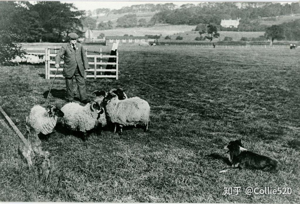 怎么成为别人的主人 v2-23bf2f2350b030a4ad4db32908f59c87_r.jpg