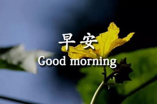 八月你好微信早晨好祝福语表情动态图8月份最新早上好表情图片合集