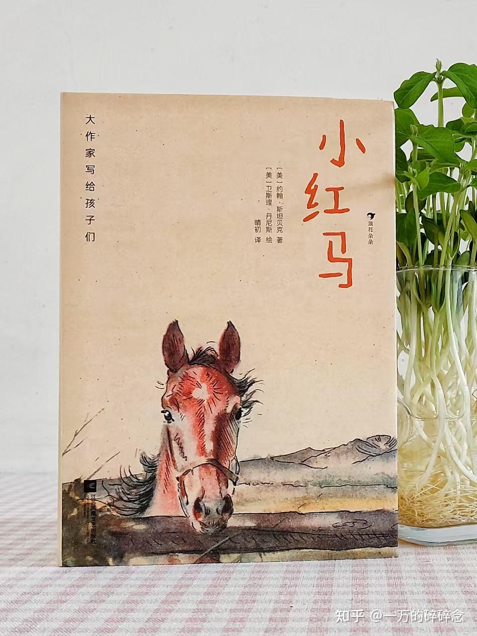 《小红马》：成长从来不是一帆风顺 - 知乎