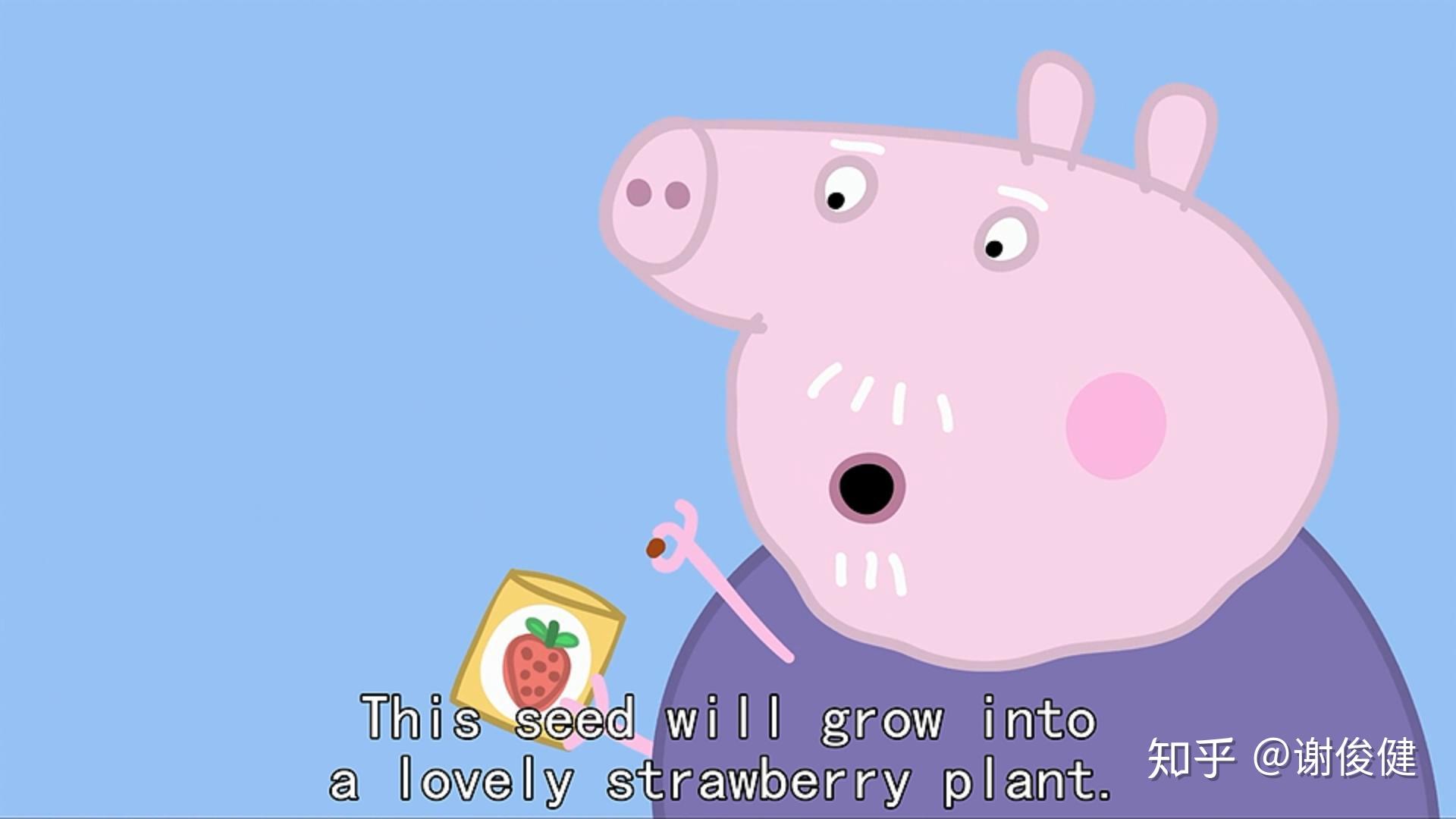 第10期跟小猪佩奇学英语第一季第10集s10gardening