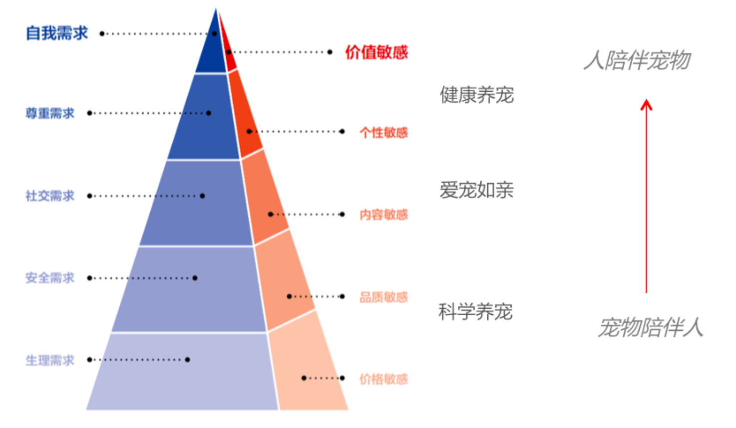 解密豆柴宠物的新品类战略肠胃健康粮诞生记案例版10