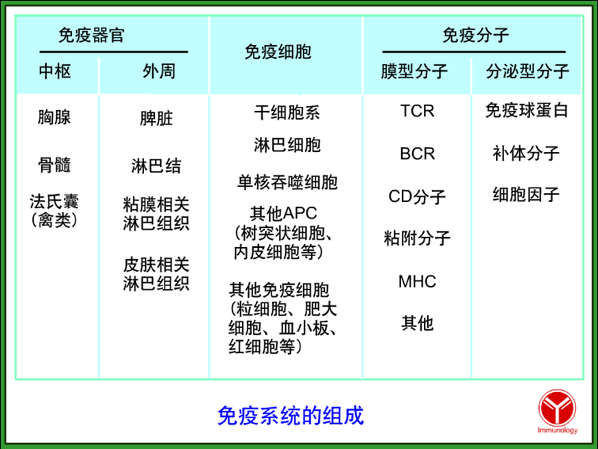 四,抗原递呈细胞