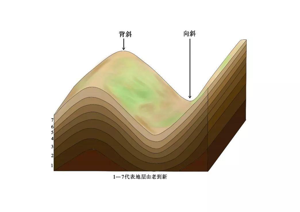 分门别类看褶皱