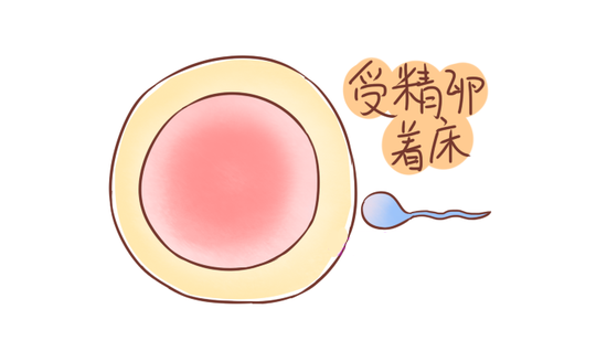 【南昌华儿山生殖医院】受精卵着床又失败,原因竟然是.