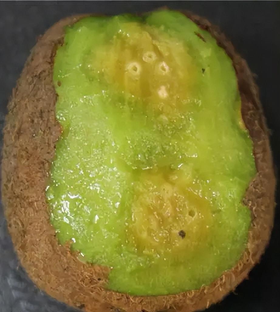 猕猴桃软腐病多发,如何有效预防?