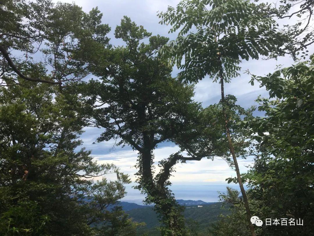 天城山相模伊豆的诗情与画意