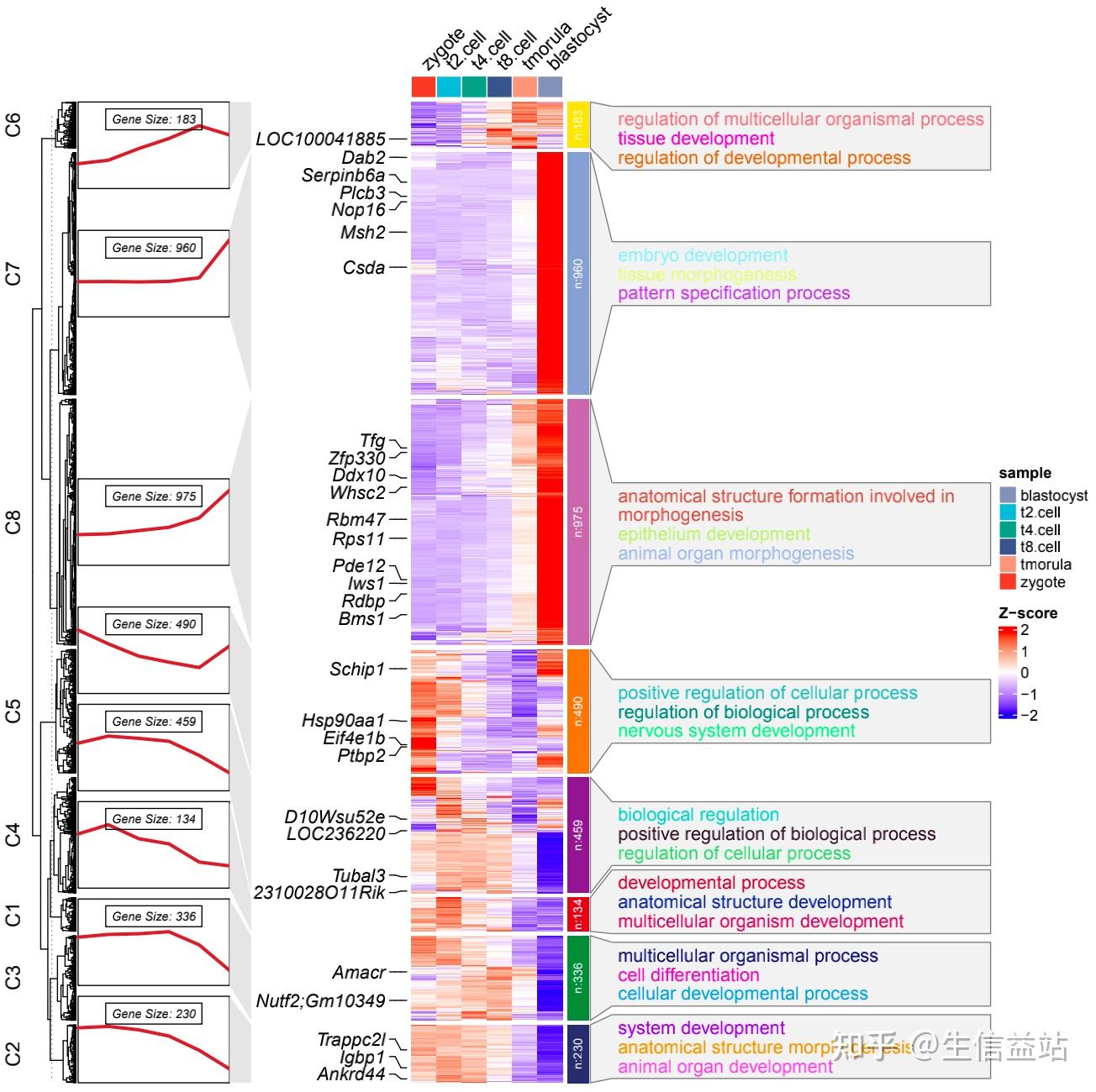 转录组画这一个图就够了（附代码） - 知乎