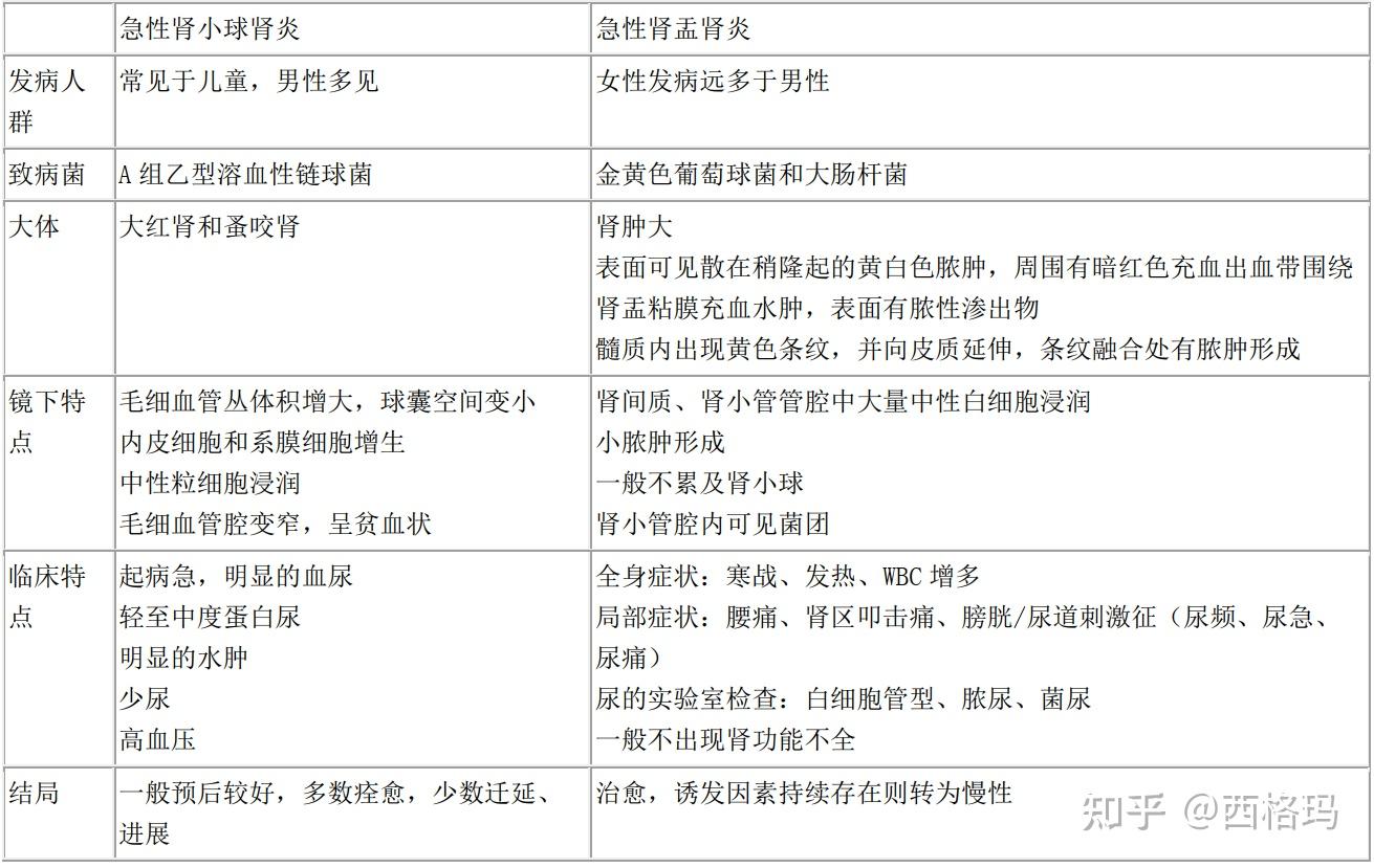 3. 急性肾小球肾炎与肾盂肾炎比较