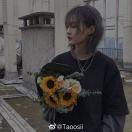 胶辊发亮、上墨不稳,是胶辊老化还是洗车水问题?
