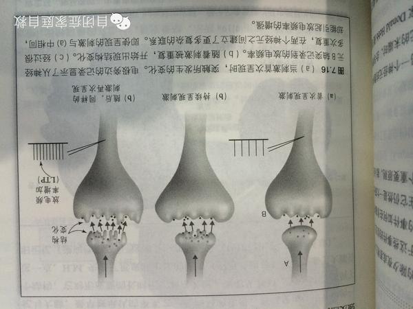 塑性等关键特性