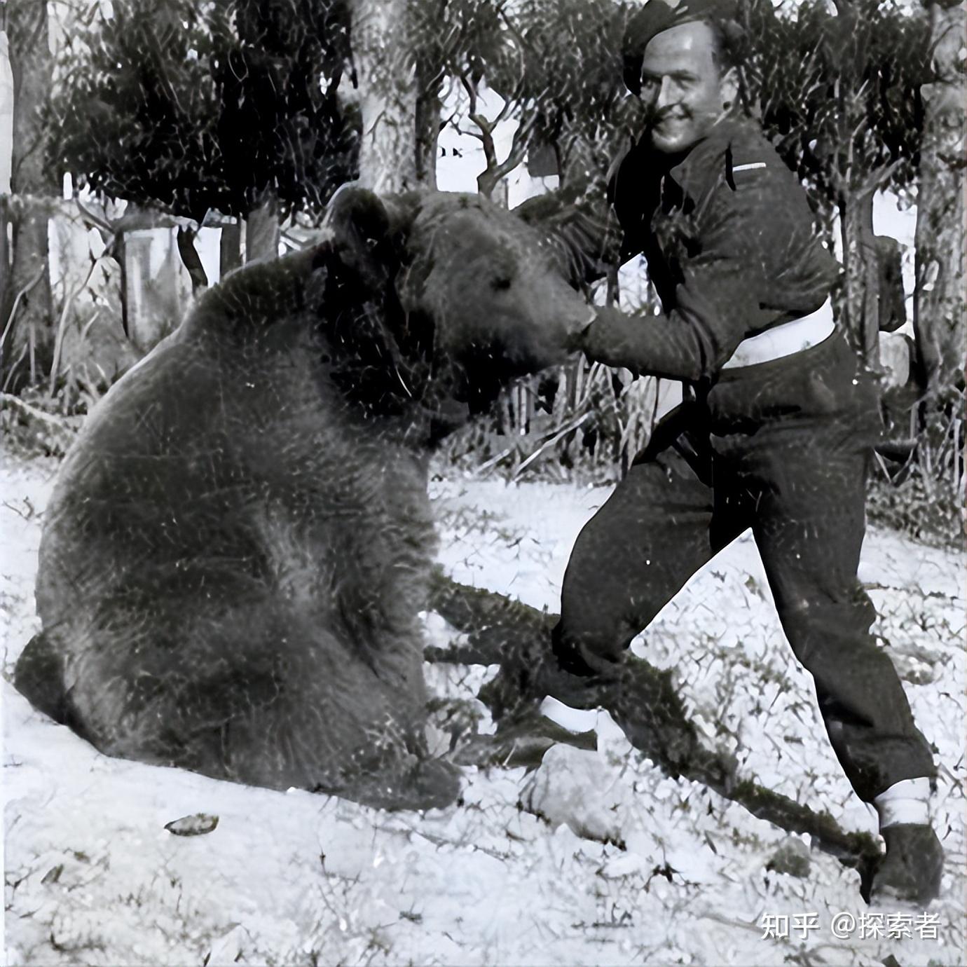 世界上唯一上过战场的熊下士，抽烟喝酒扛炮弹，样样精通- 知乎