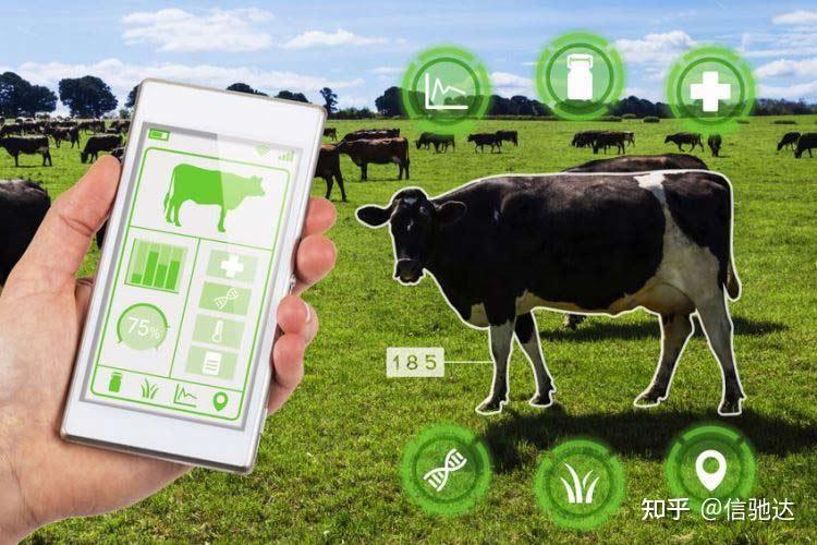 畜牧养殖业中的无线物联网技术应用 - 知乎