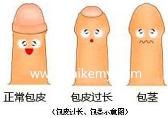 v2-245213fcdc969421a1db28b6c8e91053_b.png