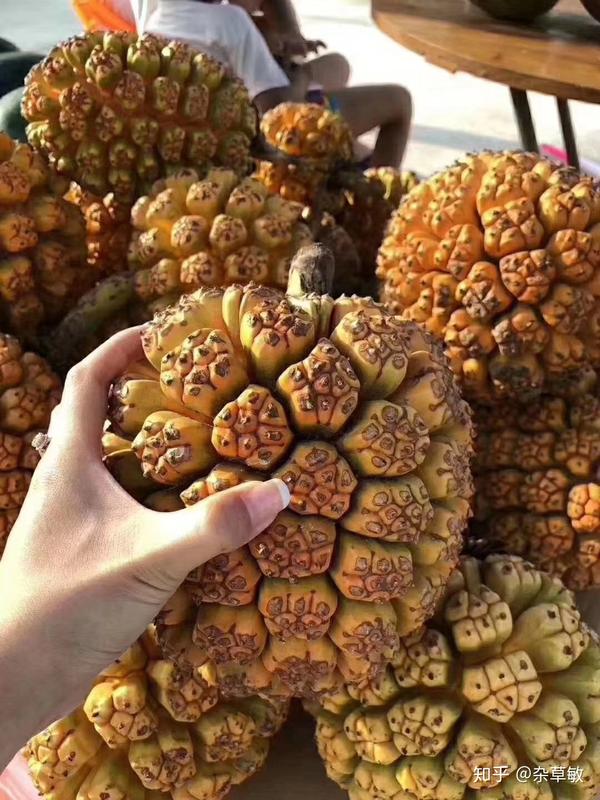 惠州巽寮湾 双月湾 十里银滩哪个好玩 有没有实用的攻略 不要复制粘贴的 要个人总结的 惠州巽寮湾有什么好玩的