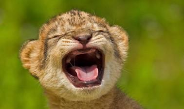 呃tob营销啊怎么做