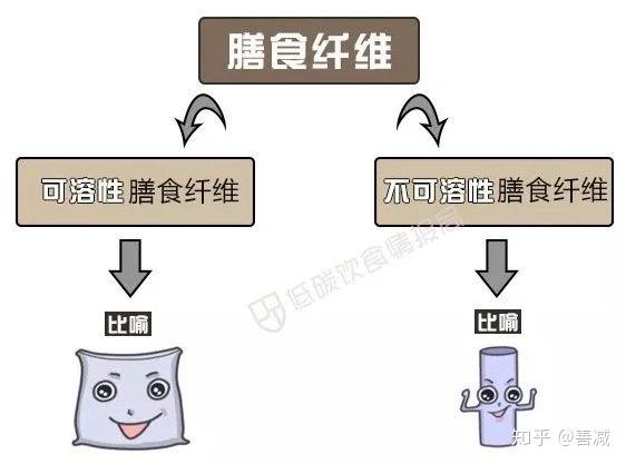 v2-247a5cffc75ea6f3cbd542eafbb69af7_r.jpg