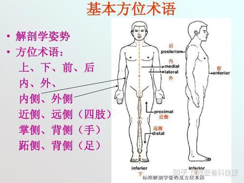 看病 词穷 让他知道哪儿疼 医生教你这么说 知乎