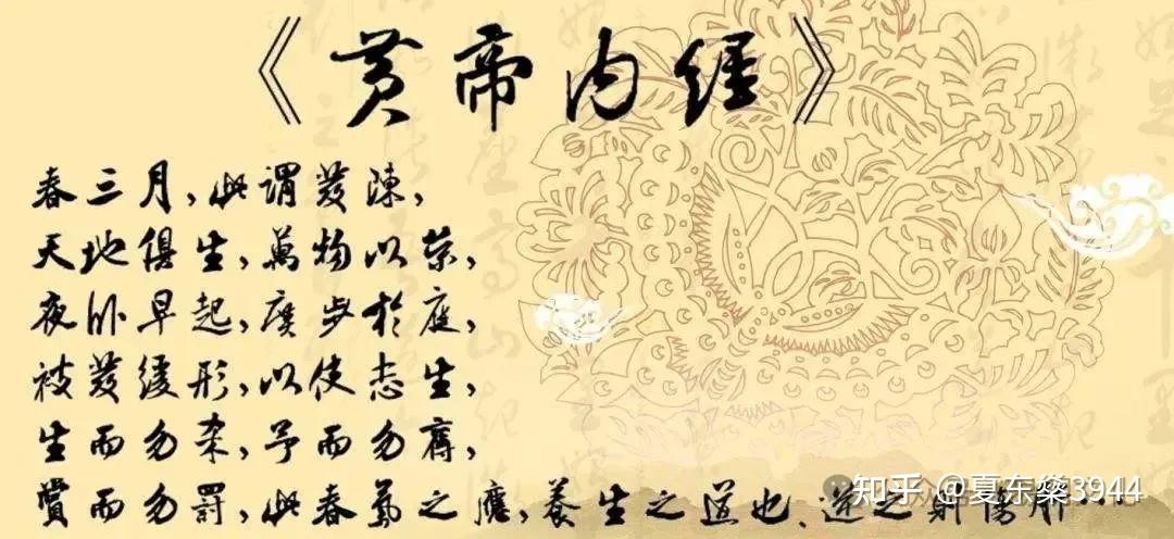 世界上最古老的医学体系-道医 - 知乎