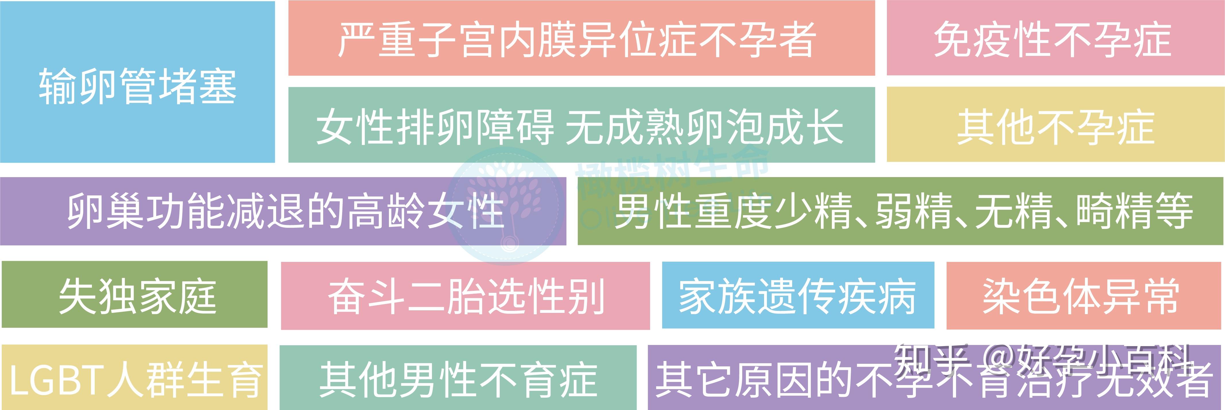 试管第一代和第二代第三代的区别(试管第一代和第二代第三代的区别是什么)-第2张图片-鲸幼网