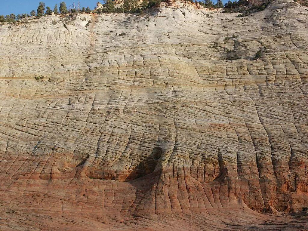 水平层理硅质岩-地质学矿物-岩石实习-图片