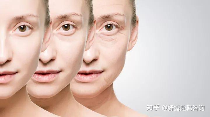 v2-24ae96dd00983edea9b643c0c0ecc953_r.jpg