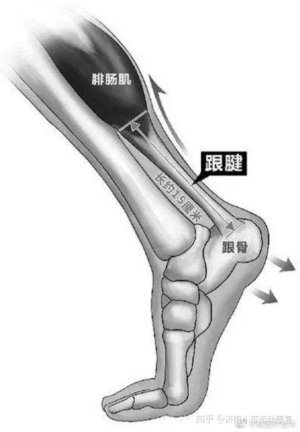 易建聯跟腱斷裂其實他的傷很多人都受過